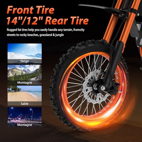 2000W Fat Tire Electric Bike with 48V 21AH Battery X66617