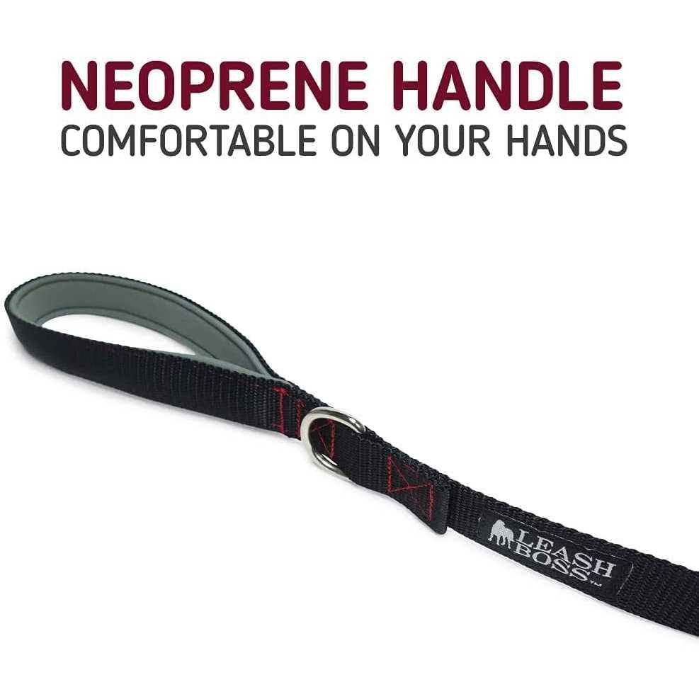 10 Foot Dog Leash with Padded Handle V1565