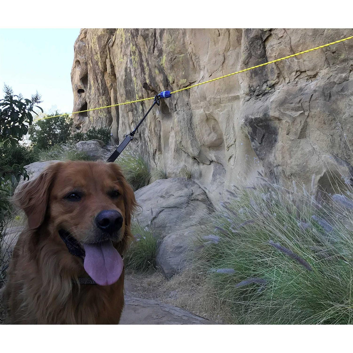Aerial Dog Run Zip Line Trolley System K1619