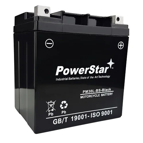 YTX30L-BS Battery S454