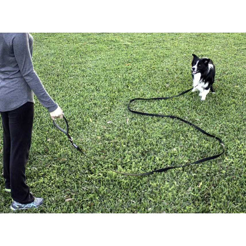 10 Foot Dog Leash with Padded Handle V1565